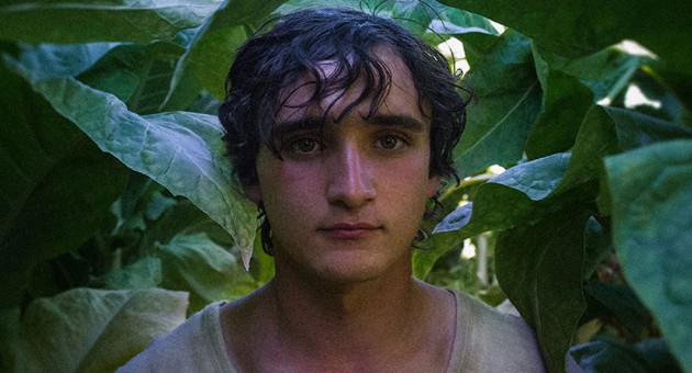 HappyAsLazzaroAliceRohrwacher