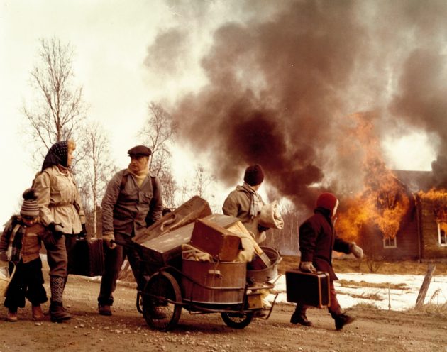 under en steinhimmel web